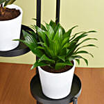 Love of Shade Plant Stand