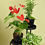 Natures Elegance Plant Stand