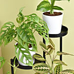 Reduce Noise And Air Pollution Plant Stand