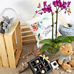 Dual Stem Purple Orchid with Chocolates & Teddy