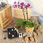 Dual Stem Purple Orchid with Chocolates & Teddy