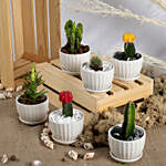Set of 6 Small Cactuses