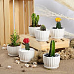 Set of 6 Small Cactuses