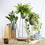 Set of Plants in Premium Stand