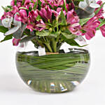 Purple Peruvian Lily Arrangement