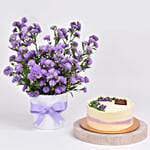 October Birthday Aster Floral Arrangement with Cake