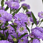 October Birthday Purple Aster Floral Arrangement