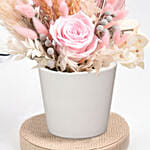 Graceful Pink Preserved Flower Vase