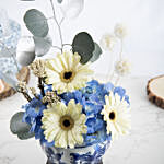 Cheerful White and Blue Flowers