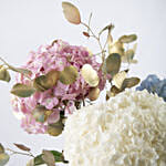Sublime Hydrangeas