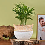 Chamadorea Plant with Photo Collage Frame