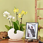 Mini Orchids with Photo Frame