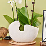 Mini Orchids with Photo Frame