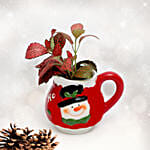 Fittonia In Snowman Mug