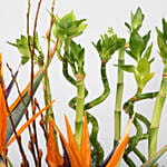 Lucky Bamboo and Flowers for Lunar Year