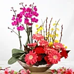 Phalenopsis and Gerberas Beauty Arrangement