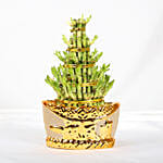 Prosperity Lucky Bamboo