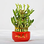 Smooth Sailing Lucky Bamboo