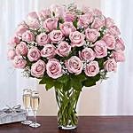 Bunch of 50 Gorgeous Pink Roses For Valentine