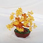 Colorsheng 7 Inch Quartz Crystal Money Tree 7 Inches