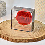 Red Soap Peony with Black Transparent Box