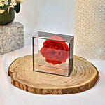 Red Soap Peony with Black Transparent Box