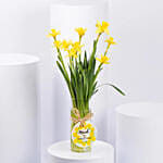 Daffodils Flower Arrangement for Birthday