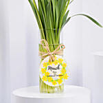Daffodils Flower Arrangement for Birthday