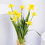 Daffodils Flower Arrangement for Birthday