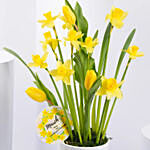 Daffodils and Tulip Flower Pot