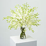 40 White Orchid Arrangement