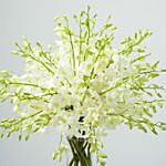 40 White Orchid Arrangement