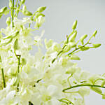 40 White Orchid Arrangement