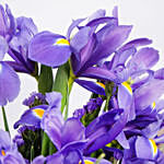 February Birthday Iris Flowers Hand Bouquet