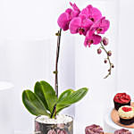 Purple Orchid Plant with Cupcakes