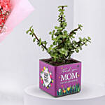 Mothers Day Carnation Bouquet with Jade Plant