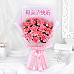 Mothers Day Carnation Flowers