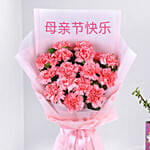 Mothers Day Carnation Flowers with Jade Plant