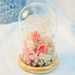 Pink n White Forever love Roses in Glass dome