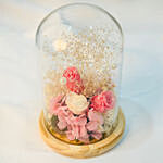 Pink n White Forever love Roses in Glass dome