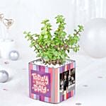 Jade Whispers Mug Ensemble