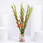 Birthday Wishes Orange Gladiolus