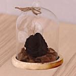Chocolate Cake & Forever Rose In Glass Dome- Black