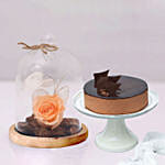 Chocolate Cake & Forever Rose In Glass Dome- Peach