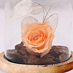 Chocolate Cake & Forever Rose In Glass Dome- Peach