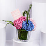 Multicolor Hydrangea Flowers in Vase