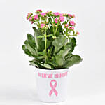 Believe in Hope Plant