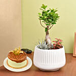 Bonsai Garden with Cake