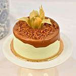 Bonsai Garden with Cake
