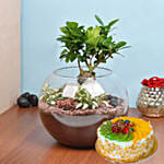 Bonsai Pot Paradise with Cake